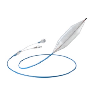 PTCA Balloon Catheter