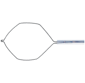 Polypectomy Snare